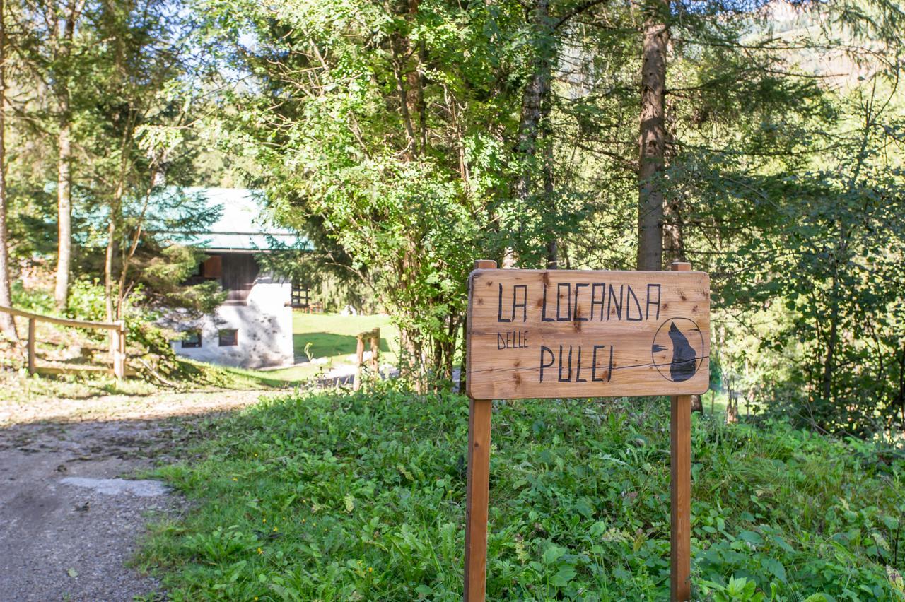 B/B La Locanda Delle Pulci Меццана Екстер'єр фото